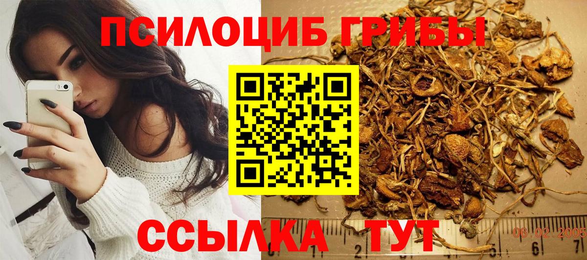 Псилоцибиновые грибы Psilocybine cubensis  Вход с VPN  Димитровград 